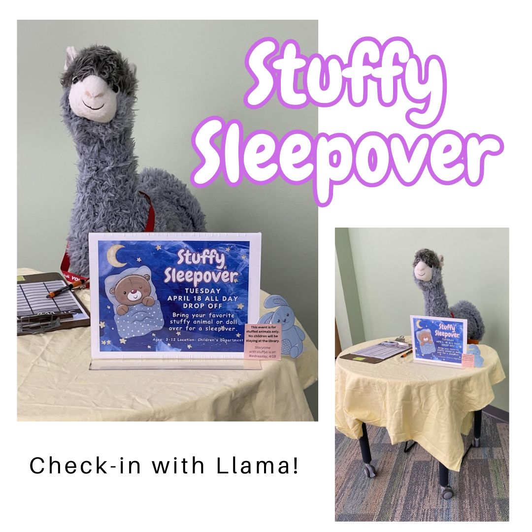 Photo for Stuffy Sleepover